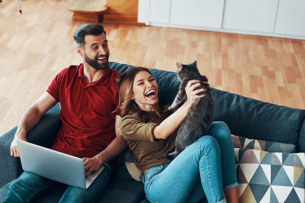 Glückliches junges Paar in Freizeitkleidung, das sich mit Hauskatze verbindet und beim Ausruhen auf dem Sofa drinnen lächelt