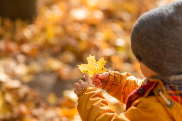 Glückliches Kind, das mit gefallenen gelben Blättern auf einem Spaziergang im Herbst im Park spielt.