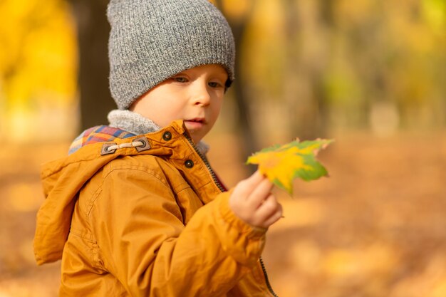 Glückliches Kind, das mit gefallenen gelben Blättern auf einem Spaziergang im Herbst im Park spielt