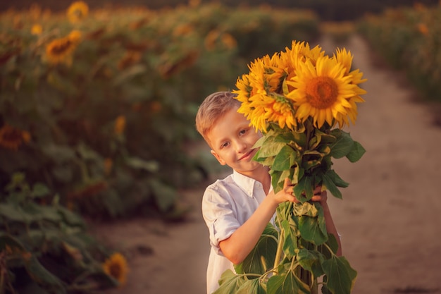 Glückliches Kind mit Blumenstrauß von schönen Sonnenblumen im Sommersonnenblumenfeld auf Sonnenuntergang.