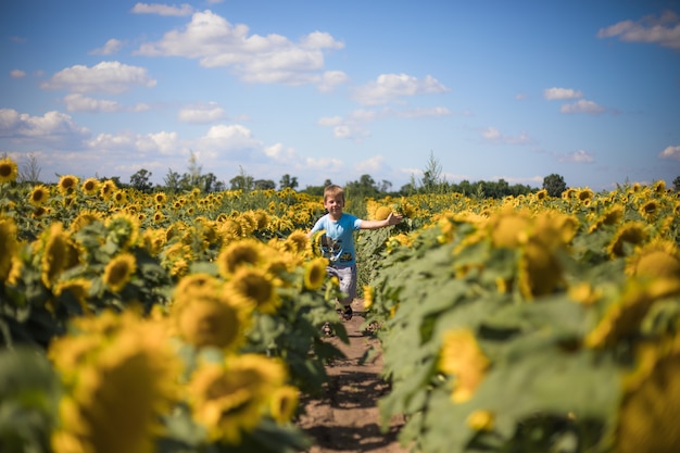 Glückliches Kinderfeld Freiheits- und Glückskonzept auf Sonnenblumen im Freien. Kind, das Spaß im grünen Frühlingsgebiet gegen Hintergrund des blauen Himmels hat. Gesundes und aktives Lifestyle-Konzept