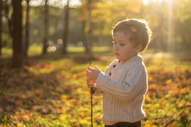 Glückliches kleines Kind, das im Herbstpark spielt