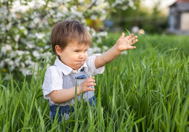 Glückliches kleines Kind im modischen blauen Overall mit schönen blauen Augen. Lustige Spiele im hohen grünen Gras in einem blühenden Park voller Grün vor dem Hintergrund eines Apfelbaums.