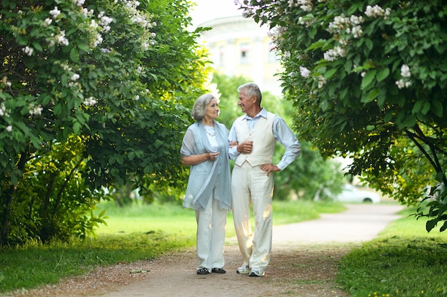 Glückliches nettes älteres Paar, das in der Stadt spaziert?