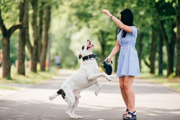 Glückliches nettes Brunettemädchen im blauen Sommerkleid, das mit großem Jagdhund im Park spielt