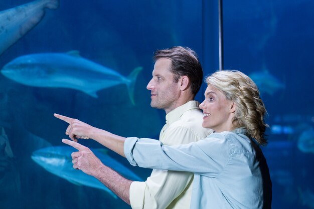 Glückliches Paar, das ein Aquarium zeigt