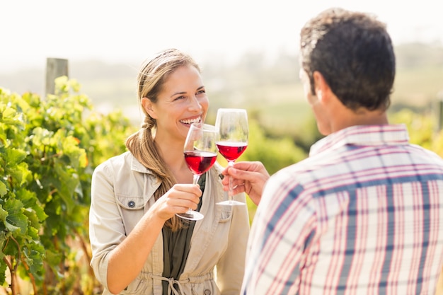 Glückliches Paar, das Gläser Wein röstet