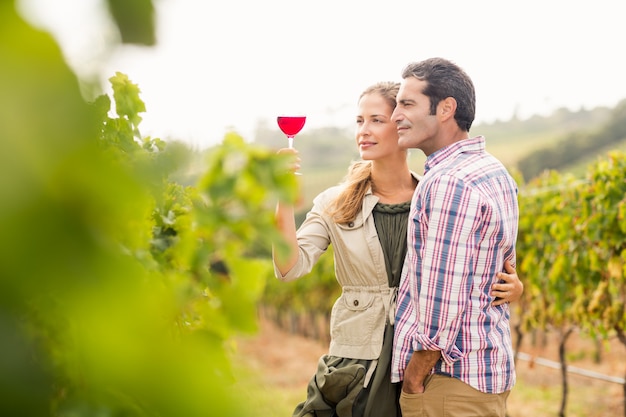Glückliches Paar, das Glas Wein betrachtet