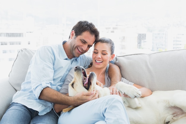 Glückliches Paar, das ihr gelbes Labrador auf der Couch streichelt