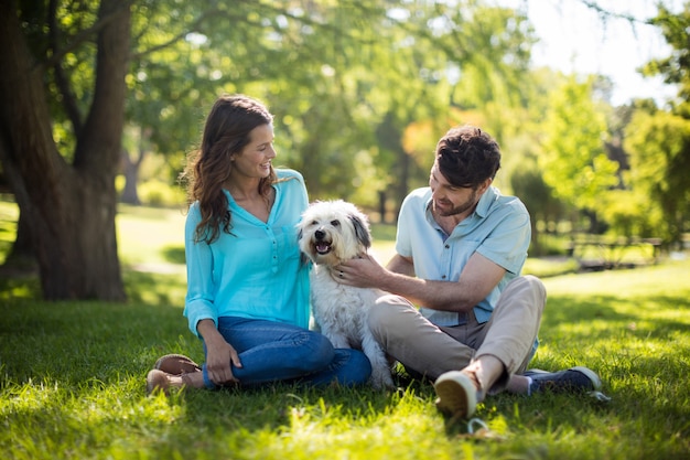 Glückliches Paar mit Hund im Park