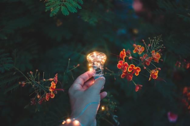 Glühbirne fantazy, Glühlampe in der Hand, Glühbirne und Bokeh