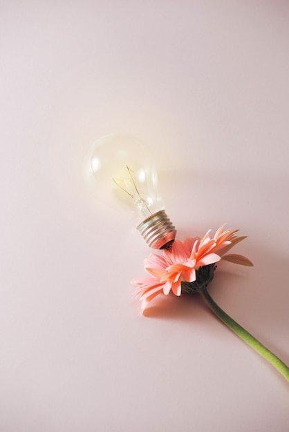 Glühbirne mit schöner Blume auf rosa Hintergrund