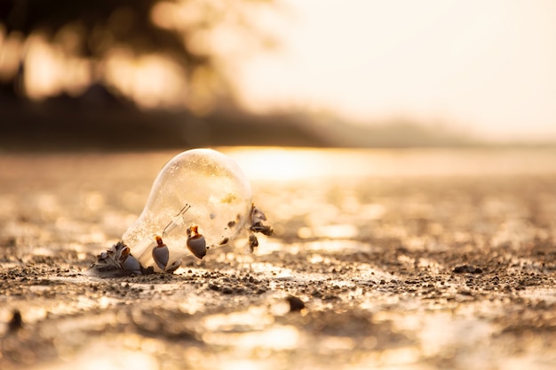 Glühlampebirne auf dem Strand mit Sonnenuntergang