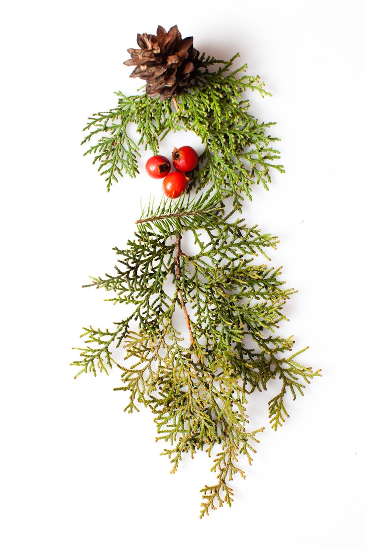 Foto gnome oder elfengesicht aus natürlichen materialien. weihnachtssilhouettebild im minimalistischen designkonzept