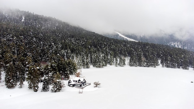 Golcuk Bolu Turquia neve de inverno durante a queda de neve Foto do conceito de viagem