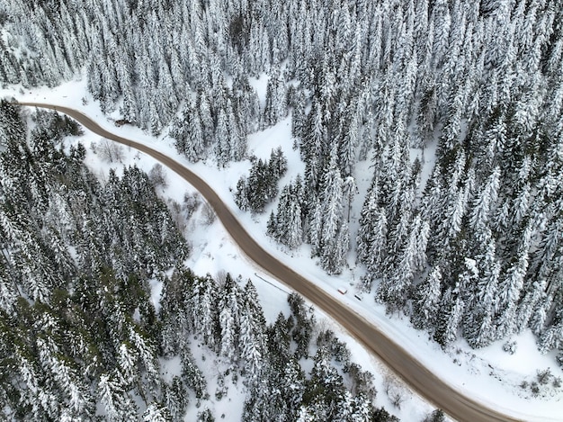 Golcuk - Bolu - Turquia, neve do inverno durante a queda de neve. Foto de drone de conceito de viagem. Rodovia, estrada na paisagem de árvores nevadas.