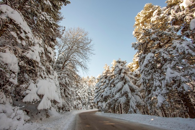 Golcuk / Bolu / Turquía, paisaje nevado de invierno. Foto de concepto de viaje.