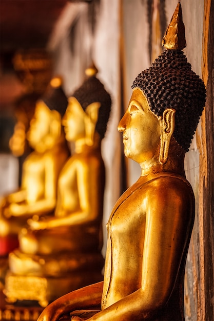 Gold sitzende Buddha-Statuen in Thailand