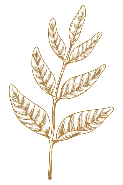 Gold- und Weißblatt-Aufkleber-Designelement