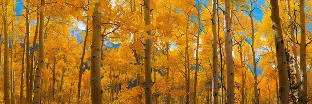 Golden Aspen das Montanhas Rochosas, no Colorado, com o majestoso horizonte de Telluride, criando um perfeito