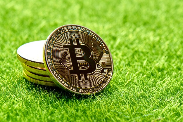 Golden Bitcoins en un césped verde