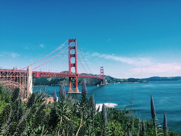 Foto golden gate-brücke über das meer