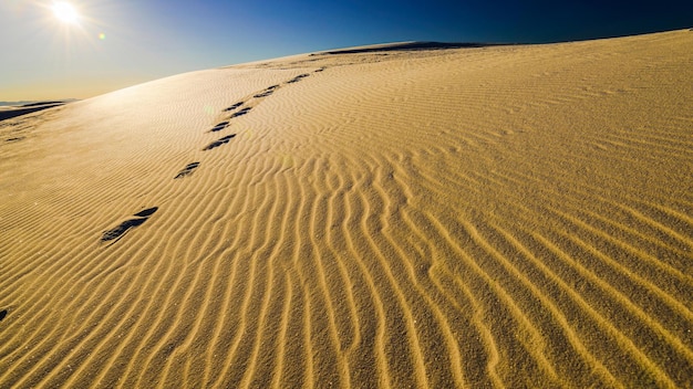 Golden waves 4k fundo de dunas de areia onduladas ao nascer do sol oferecendo um cativante em 4k