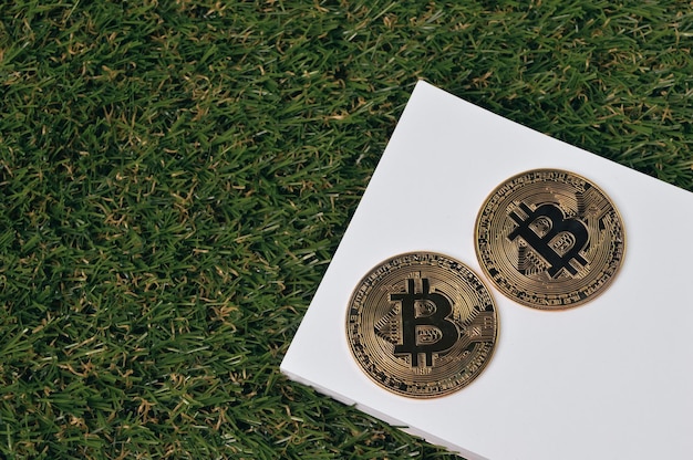 Goldene Bitcoins und Notizbuch über Grashintergrund