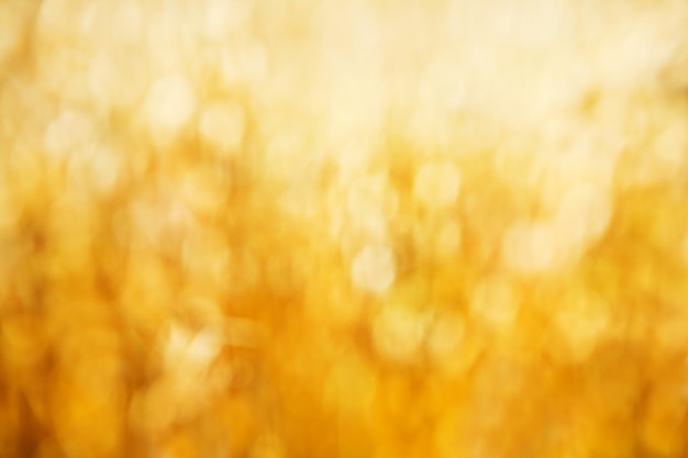 Goldene bokeh