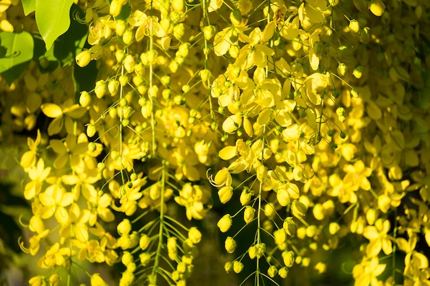 goldene Dusche