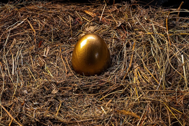 Goldene Eier und weiße Eier in einem Vogelnest von oben gesehen