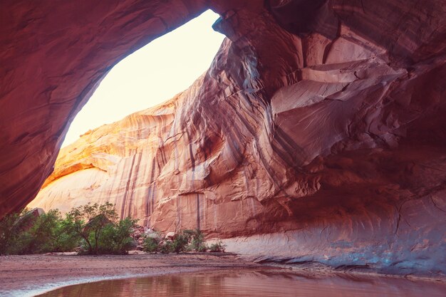 Goldene Kathedrale im Neon Canyon, Escalante National Park, Utah