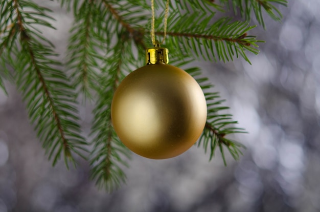 Goldene matte Weihnachtskugel auf Fichtenzweig Neujahrsdekoration