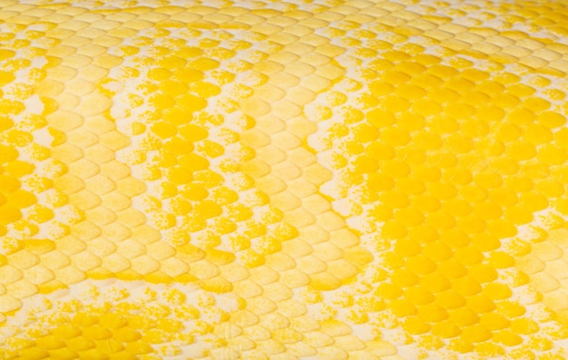 Goldene Python-Skala-TexturNahaufnahme der goldenen Python-Python-Python-Bivittatus-HautstrukturSkalen o