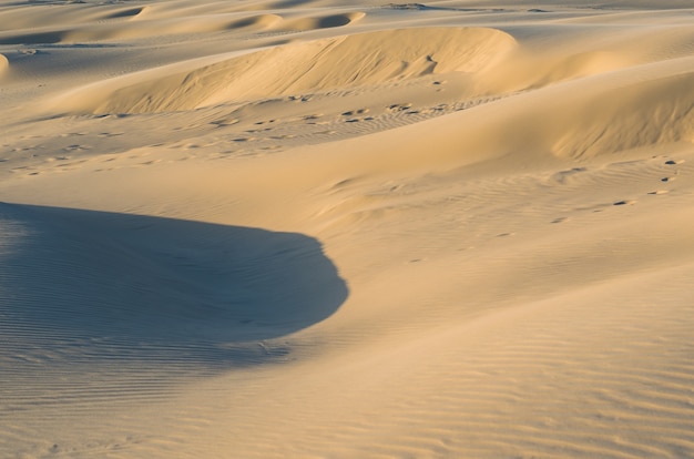 Goldene Stunde der Sanddünen goldene Sonne