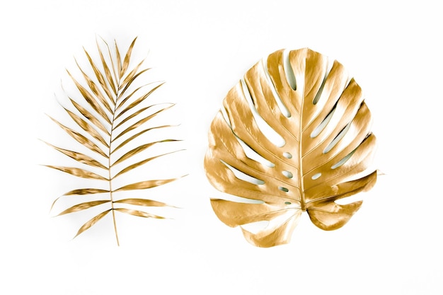 Goldene tropische Palmblätter Monstera auf weißem Hintergrund Flache Ansicht von oben minimales Konzept