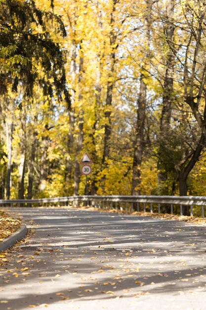 Goldener Herbst im Stadtpark an einem strahlend sonnigen Tag