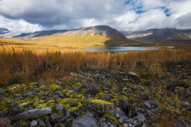 Goldener Herbst in den arktischen Bergen jenseits des Polarkreises Blick auf einen wunderschönen See und gelbe Birken