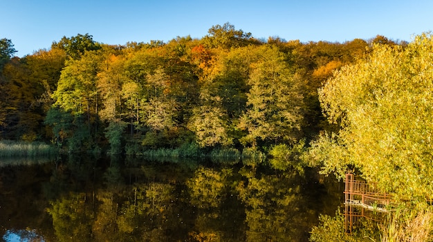 Goldener Herbst, Luftaufnahme des Waldes mit gelben Bäumen und Seelandschaft von oben