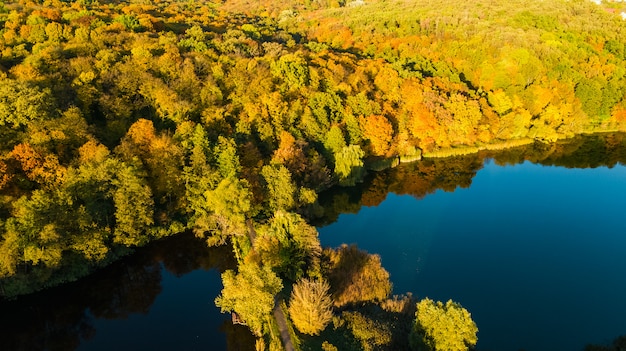 Goldener Herbst, Luftaufnahme des Waldes mit gelben Bäumen und Seelandschaft von oben