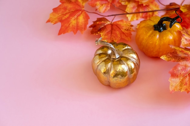 Goldener Kürbis Mit Einem Blattahorn Auf Rosa Hintergrund.