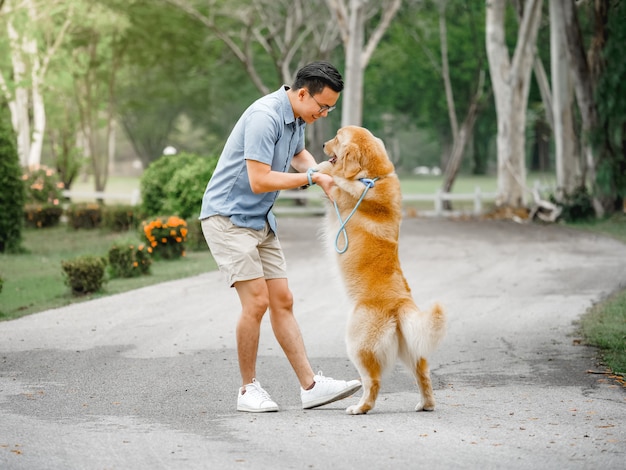 goldener Retriever des Hundes, der mit asiatischer Familie im Park spielt