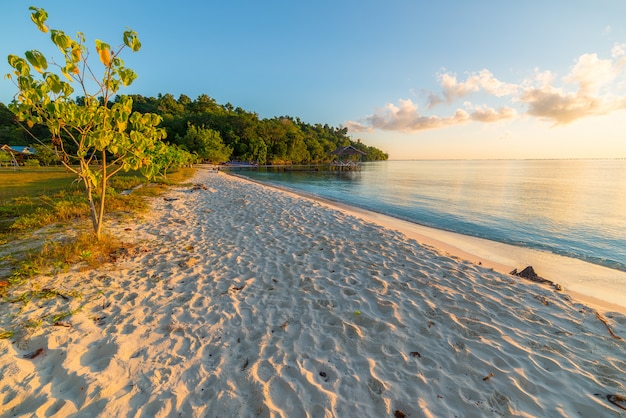 Goldener Sonnenaufgang am Wüstenstrand