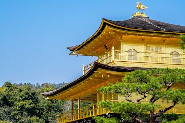 Goldener Tempel, Japan