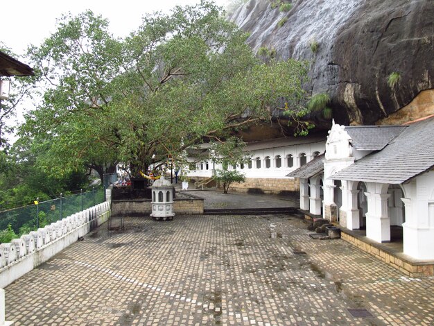 Goldener Tempel von Dambulla, Sri Lanka