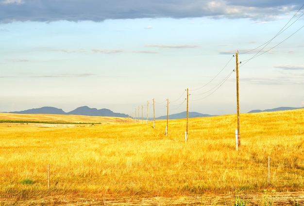 Goldenes Gras vor dem Hintergrund entfernter Berge im Sommer unter blauem bewölktem Himmel. Sibirien, Russland