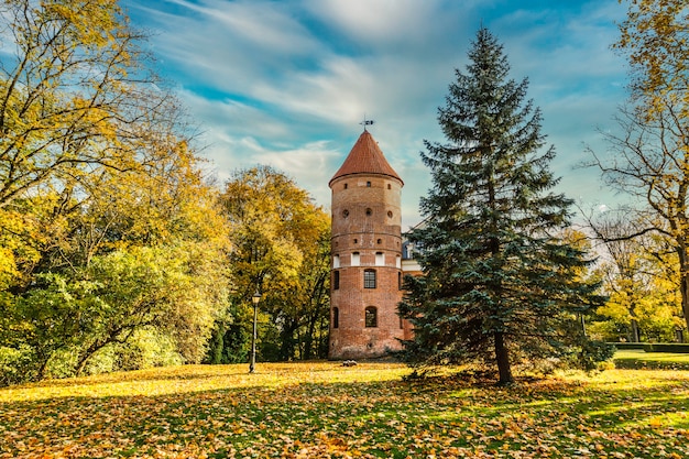 Goldenes Herbstlaub des Renaissanceschlosses Raudondvaris.