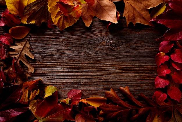 Goldenes Rot des Herbstfallrahmens verlässt auf Holz
