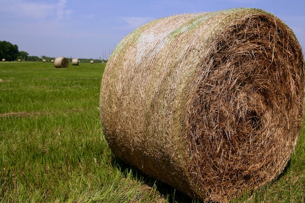 Goldenes Straw Hay Bales in der amerikanischen Landschaft