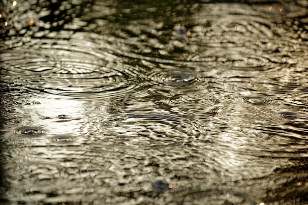 Goldglitzernde Wasseroberfläche in der Regenzeit
